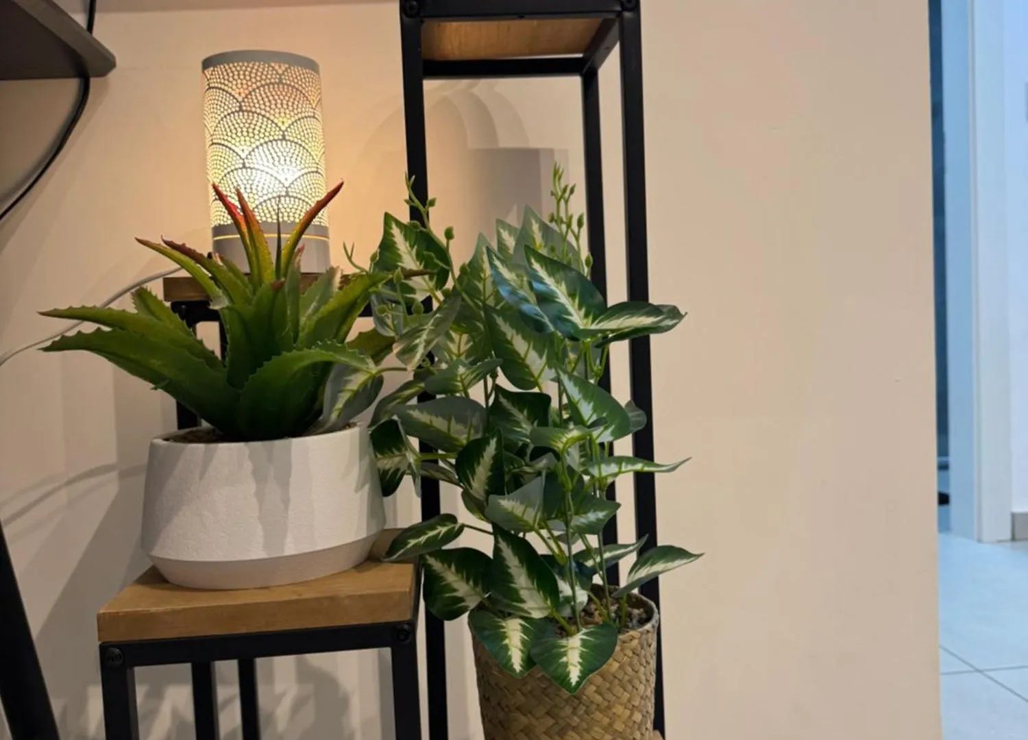 פסגת הדקל Apartment Eilat Israel